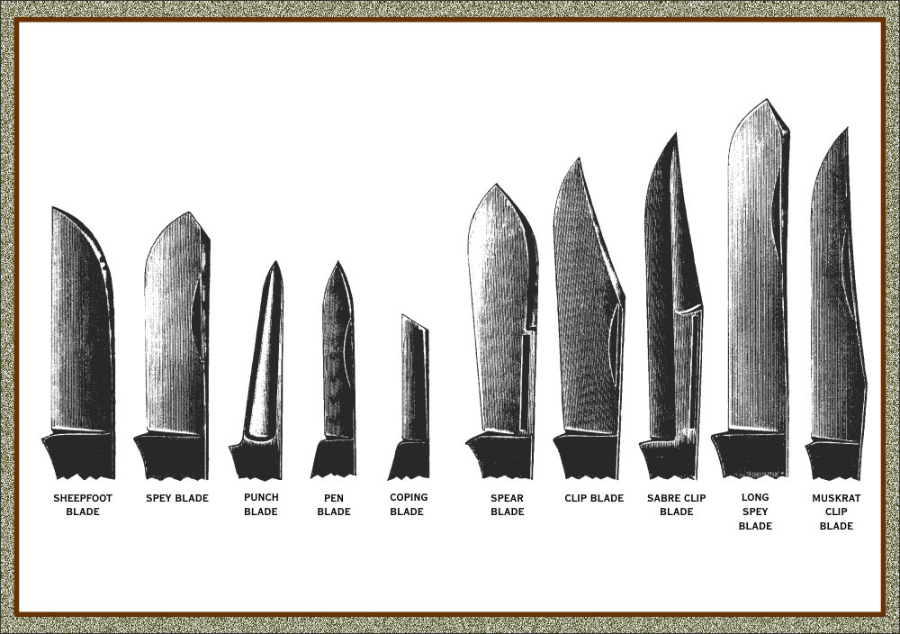 Knife Terminology