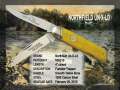 2010