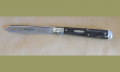 652111 Buffalo Horn