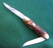 #538208 Great Eastern Cutlery, Muskrat, Burnt Stag. Stainless Steel.