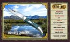 128119 Aqua Camel Bone
